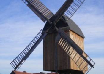 Bockwindmühle in Grieben