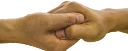 hands-1926704_640.png